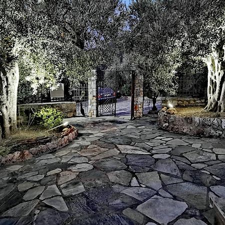 Elaion Thea-Nies Villa Sourpi Екстериор снимка