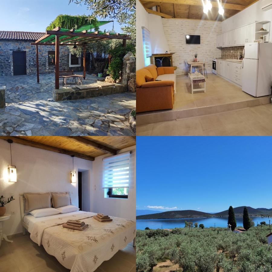 Elaion Thea-Nies Villa Sourpi Екстериор снимка