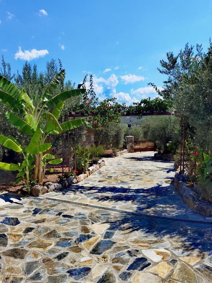 Elaion Thea-Nies Villa Sourpi Екстериор снимка